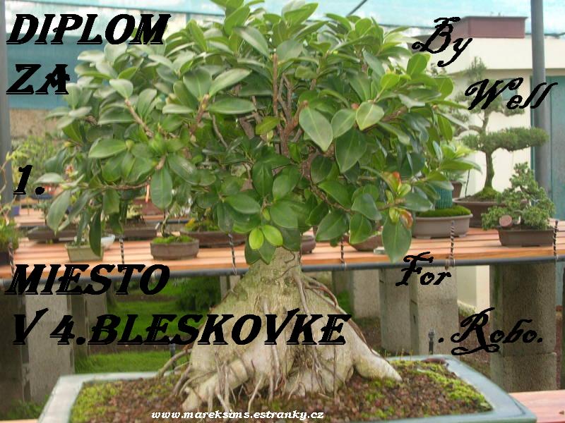 1.miesto robo.jpg